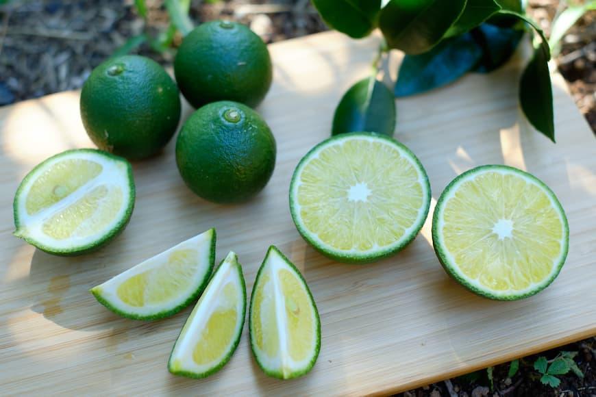 青切り塩たんかん 2種（ノーマル・HOT）＜屋久島の素材を使った柑橘調味料＞