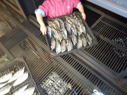 縺縺怜ーら畑縲辟。豺サ蜉繝サ螟ゥ辟カシ√し繝先悽譫ッ遽シ2陲具シ