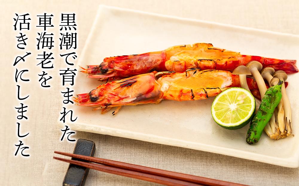 鹿児島県産 活き〆冷凍 車海老（養殖）3Lサイズ 計600g（300g 7～9尾×2パック）セット