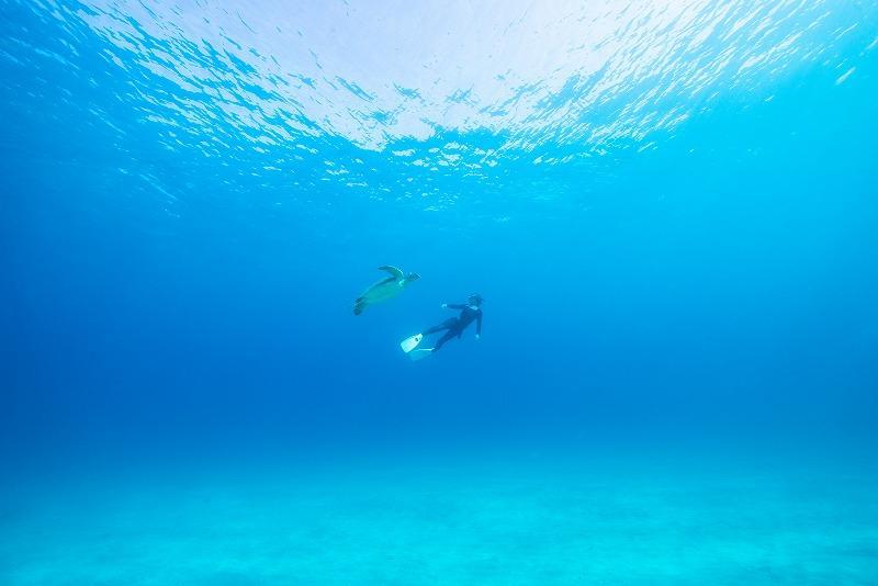 【屋久島町】JTBふるさと旅行クーポン（Eメール発行）（150,000円分）