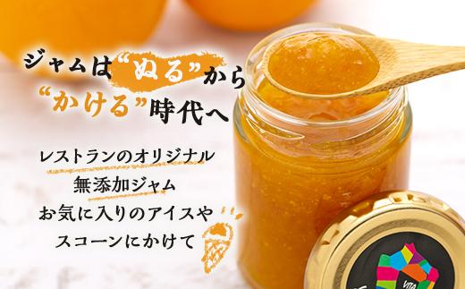 屋久島たんかんジャム４個セット