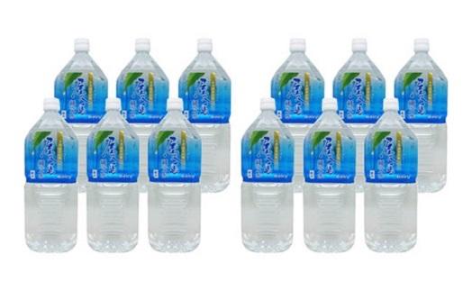 螻倶ケ蟲カ邵譁豌エ 2Lテ6譛ャ蜈・繧 2繧ア繝シ繧ケ