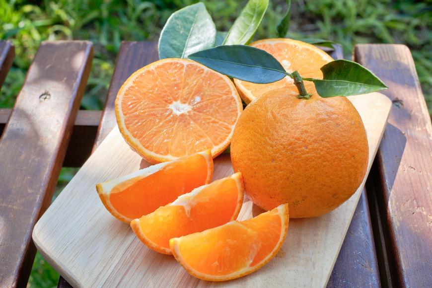 屋久島フルーツバター 1本（屋久島たんかん）＜2021熊毛地域特産品コンクール 最優秀賞受賞＞