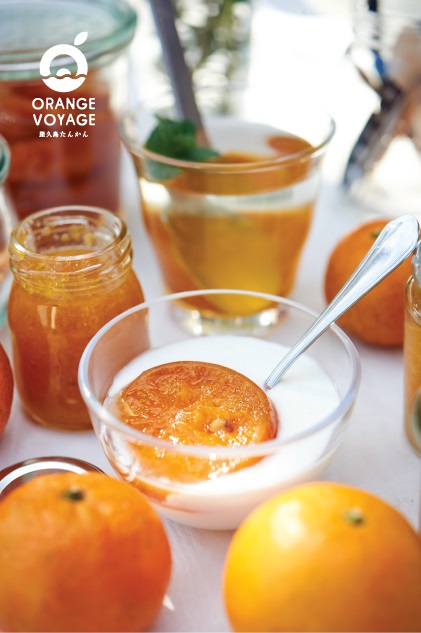 屋久島たんかんジャム４個セット