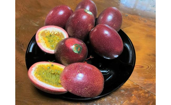 縲2026蟷エ逋コ騾∝郁。悟女莉倥醍オカ蜩√ヱ繝繧キ繝ァ繝ウ繝輔Ν繝シ繝Л邇(16邇)窶懷ア倶ケ蟲カ縺ョ諱オ縺ソ窶昴→窶懈帶ュ窶晁セシ繧√※シ