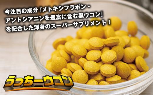 うっちーウコン粒 300粒 2個セット
