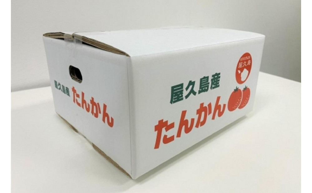 ＜先行予約／数量限定＞屋久島産たんかん 自家用(訳あり品) 約3kg(S～2Lサイズ・少々キズあり)【2027年2月中旬以降お届け】