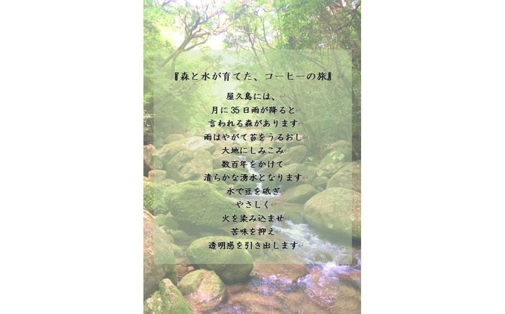 世界自然遺産の屋久島の水でゆっくり淹れた水出しコーヒー