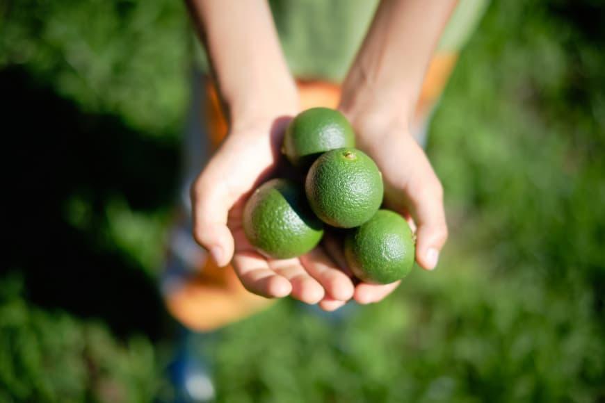 青切り塩たんかん 2種（ノーマル・HOT）＜屋久島の素材を使った柑橘調味料＞