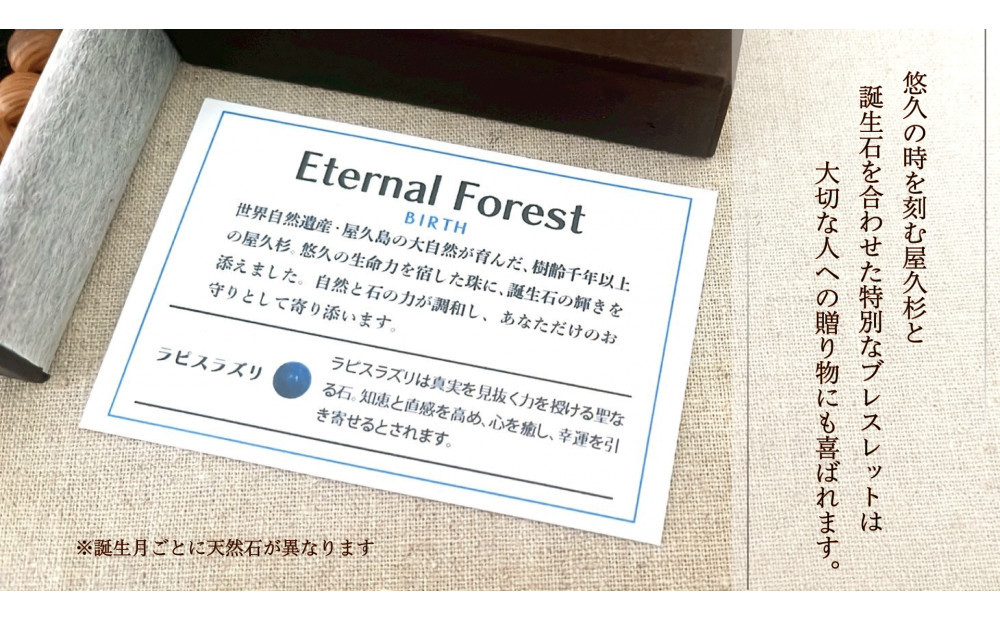 螻倶ケ譚嘉1譛郁ェ慕函遏ウ繝悶Ξ繧ケ繝ャ繝繝医20cm (L)縲