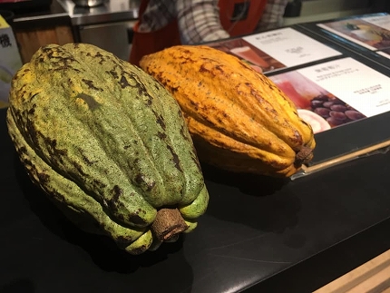 螻倶ケ蟲カ縺ァ縺吶k縲√ッ縺倥a縺ヲ縺ョ 縲弱ヴ繝・繧「繝√Ι繧ウ繝ャ繝シ繝亥宛菴應ス馴ィ薙 繝ッ繝シ繧ッ繧キ繝ァ繝繝怜女隰帛虻