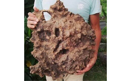 屋久杉Initialイニシャルキーホルダー　”K”