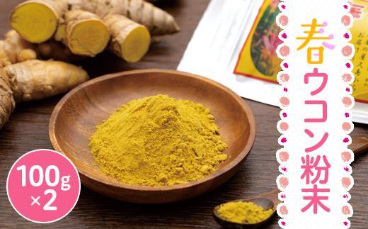 屋久島産 春ウコン粉末 100g 2個セット
