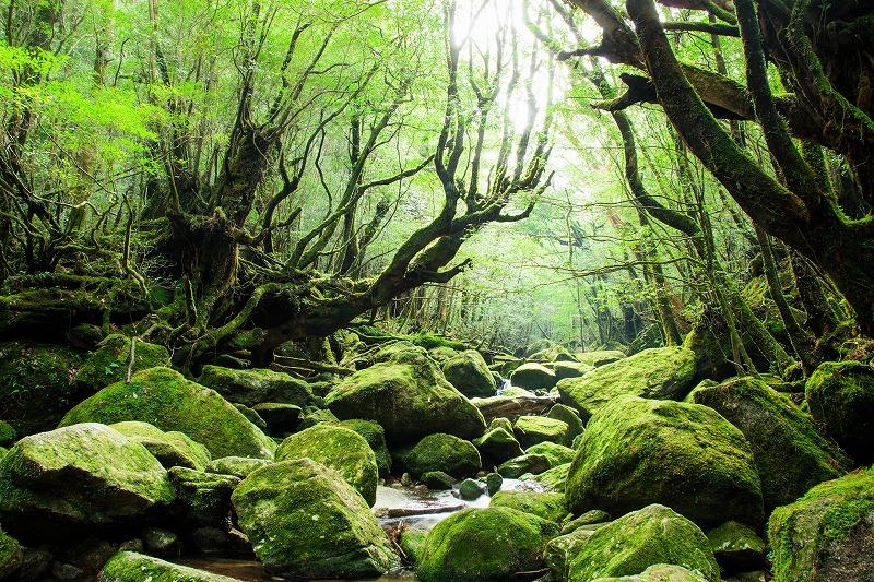 縲仙ア倶ケ蟲カ逕コ縲遷TB縺オ繧九&縺ィ譌陦悟虻シ育エ吝虻シ450,000蜀蛻