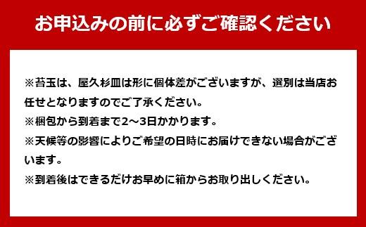 繧ャ繧ク繝・繝槭Ν縺ョ闍皮脂(闍皮脂逕ィ螻倶ケ譚臥堊莉倥″)