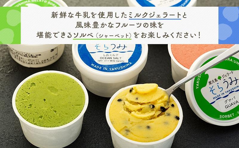 手作り ジェラート 6カップ 詰め合わせ セット＜屋久島産の新鮮食材を使用＞