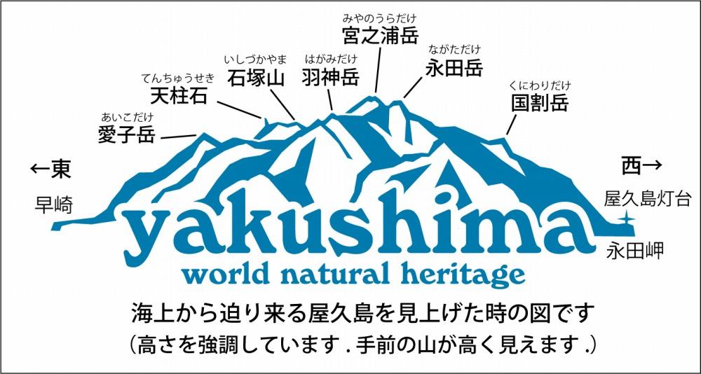 螻倶ケ蟲カ繧ソ繧ェ繝ォ繝サ豢倶ク翫い繝ォ繝励せ縲繝輔ぉ繧、繧ケ繧ソ繧ェ繝ォシ35テ80cmシ