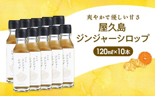 螻倶ケ蟲カ繧ク繝ウ繧ク繝」繝シ繧キ繝ュ繝繝 蟆(120ml)テ10譛ャ繧サ繝繝