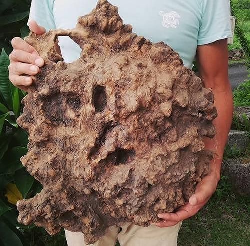 屋久杉Initialイニシャルキーホルダー　” I ”