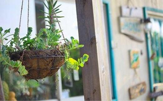 屋久杉Initialイニシャルキーホルダー　”A”