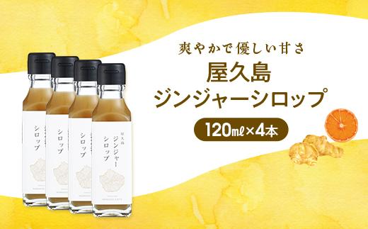 螻倶ケ蟲カ繧ク繝ウ繧ク繝」繝シ繧キ繝ュ繝繝 蟆(120ml)テ4譛ャ繧サ繝繝