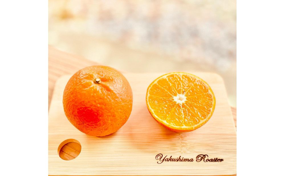 螻倶ケ蟲カ縺ョ縺溘s縺九s鬥吶k繧ィ繧ケ繝励Ξ繝繧ス繧ウ繝シ繝偵シ