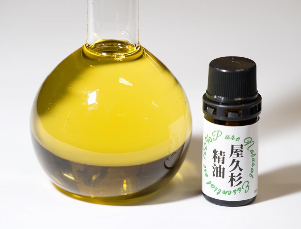 å±ä¹
æç²Ÿæ²¹ 5ml 2æ¬ã»ãã