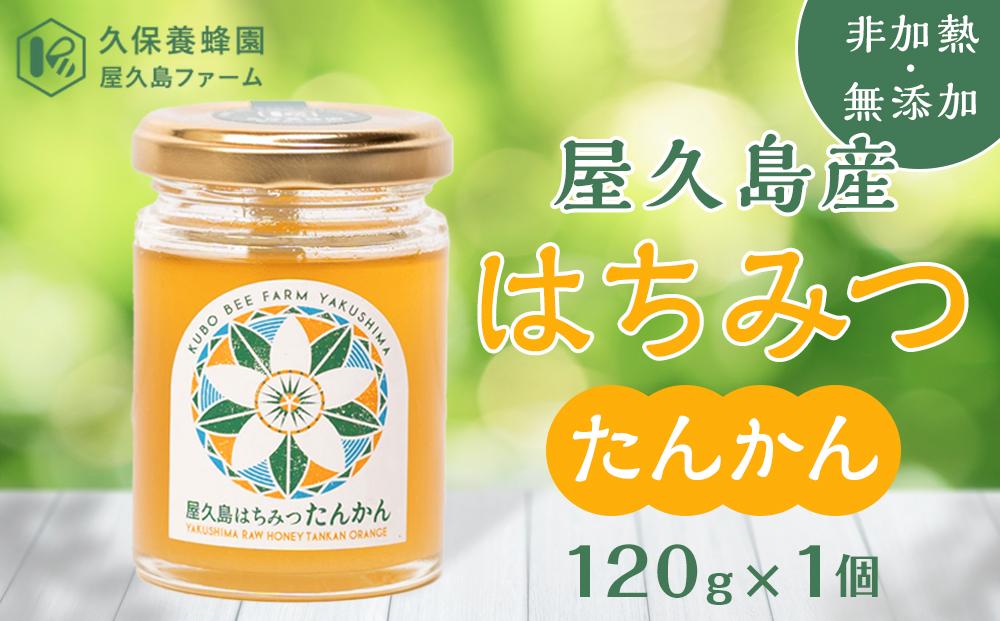 【非加熱・無添加】屋久島産 はちみつ（たんかん）120g×1個＜久保養蜂園 屋久島ファーム＞