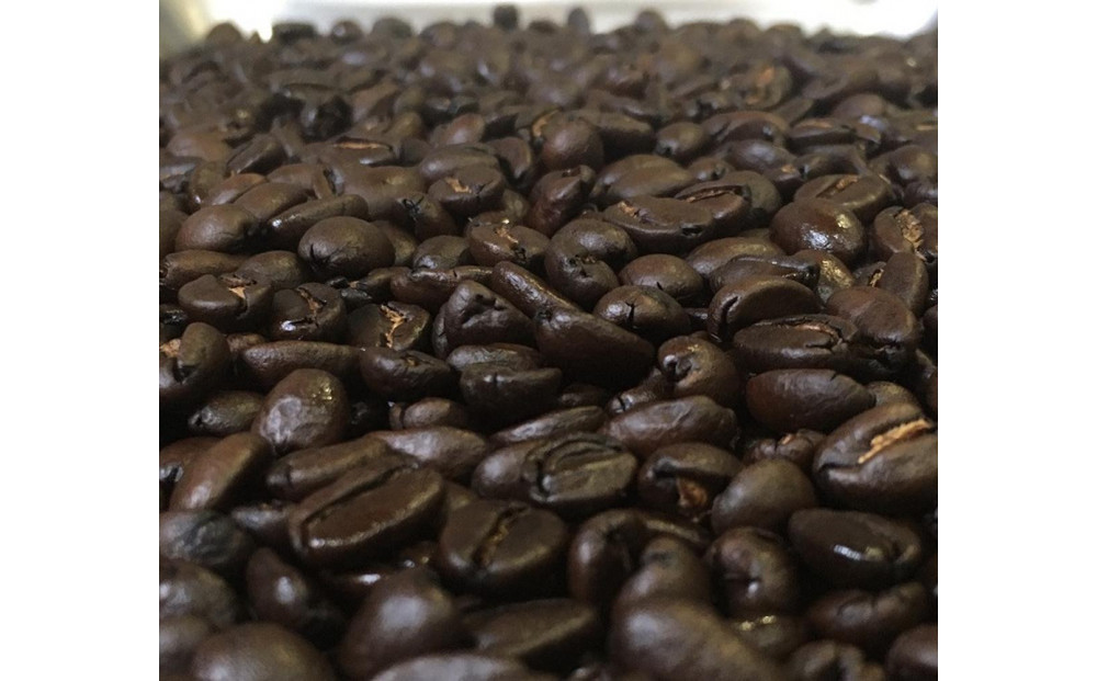 螻倶ケ蟲カ縺ョ縺溘s縺九s鬥吶k繧ィ繧ケ繝励Ξ繝繧ス繧ウ繝シ繝偵シ