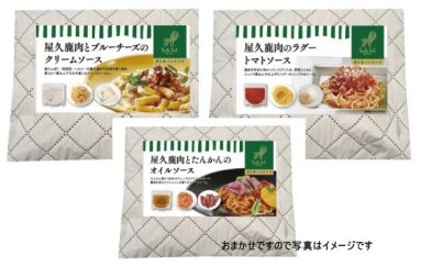 ＜屋久島パスタラボ＞おまかせパスタ３個セット