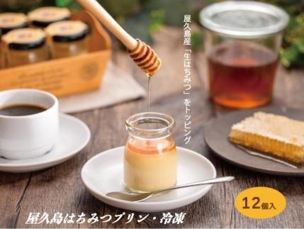 縲先焚驥城剞螳壹大ア倶ケ蟲カ縺ッ縺。縺ソ縺、蜀キ蜃阪励Μ繝ウ12蛟九そ繝繝
