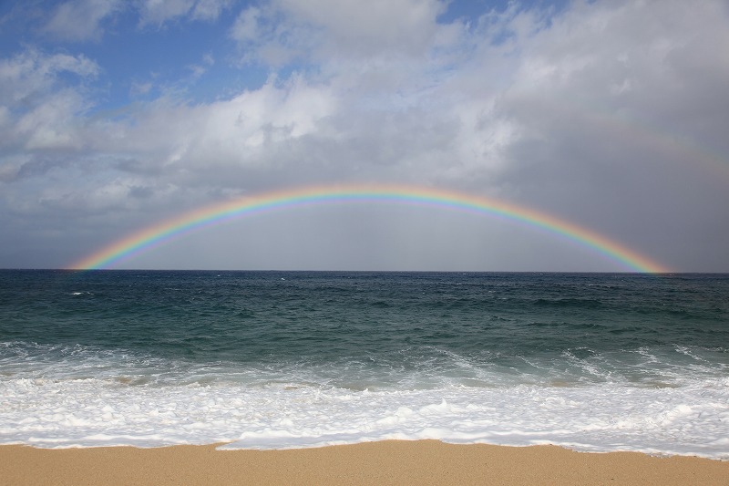 屋久島プライベート＆カスタマイズツアー