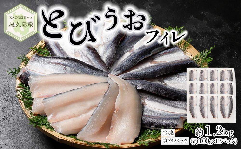 【2025年4月以降発送予定】屋久島産 とびうお フィレ 約1200g（約100g×12パック）冷凍 真空パック