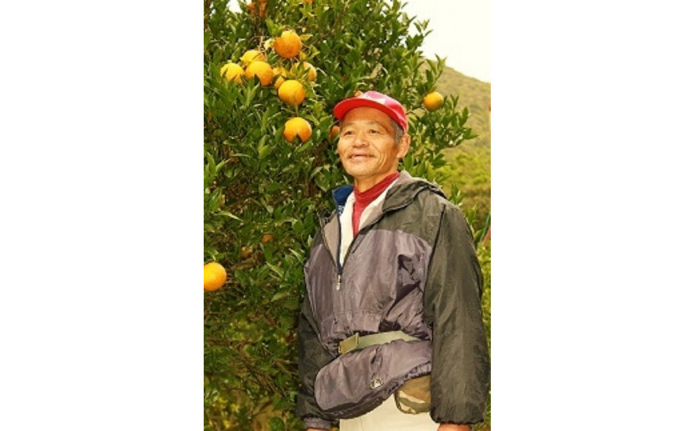 ＜先行予約／数量限定＞屋久島産たんかん 自家用(訳あり品) 約3kg(S～2Lサイズ・少々キズあり)【2027年2月中旬以降お届け】