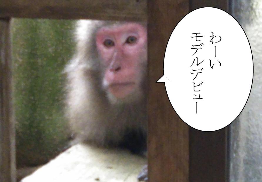 繧縺上&繧亀繧キ繝」繝ДRY 蟄蝉セ 縲霄ォ髟キ120cm縲占オ、縲