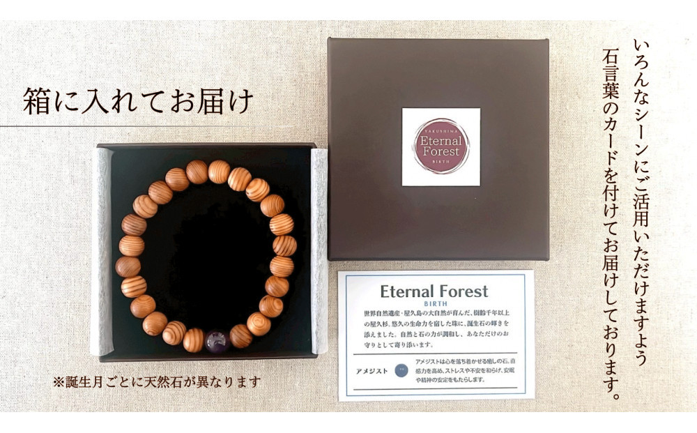 螻倶ケ譚嘉1譛郁ェ慕函遏ウ繝悶Ξ繧ケ繝ャ繝繝医20cm (L)縲