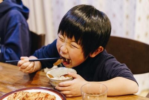 とびっきり、とび飯。【屋久島トビウオ漬け丼の素】10食セット