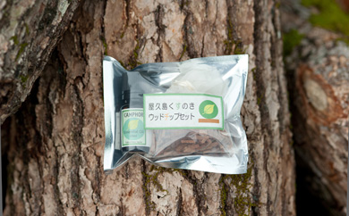 クスノキチップ10ml