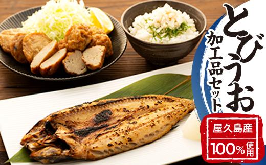 漁協直営！屋久島産 とびうお加工品セット