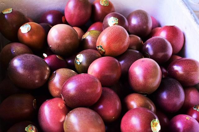 縲2026蟷エ逋コ騾∝郁。悟女莉倥醍オカ蜩√ヱ繝繧キ繝ァ繝ウ繝輔Ν繝シ繝Л邇(16邇)窶懷ア倶ケ蟲カ縺ョ諱オ縺ソ窶昴→窶懈帶ュ窶晁セシ繧√※シ