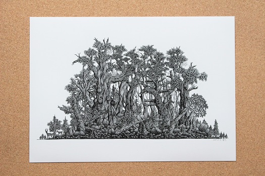 A4判アートプリント 屋久島シリーズ 5種類セット