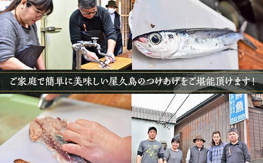 【定期便 全3回】屋久島 魚すりみ 300g×4パック＜屋久島名産のトビウオ使用＞