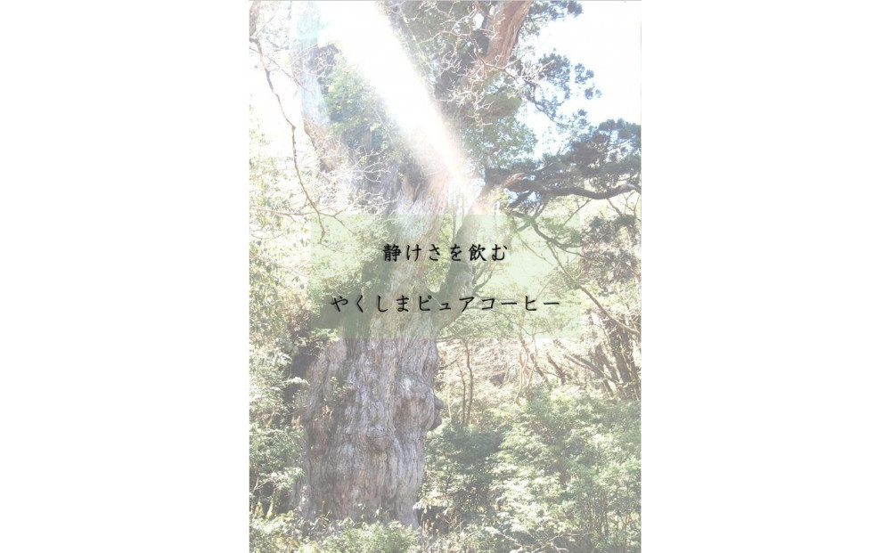 世界自然遺産の屋久島の水でゆっくり淹れた水出しコーヒー