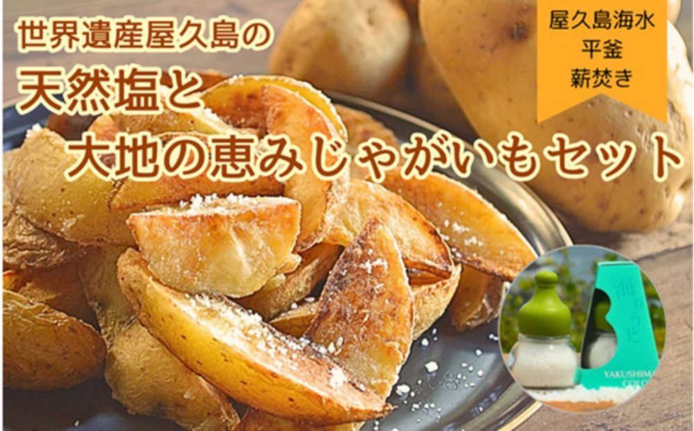 【2026年3月上旬頃から発送】屋久島の天然塩「海のうた」と屋久島産じゃがいもセット 5kg＜農薬不使用＞