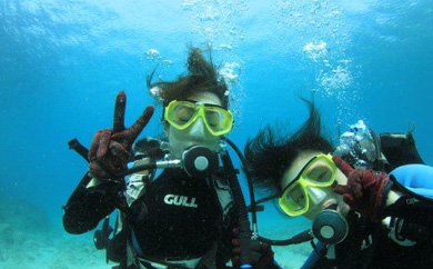 菴馴ィ薙ム繧、繝薙Φ繧ー(1繝繧、繝厄シ