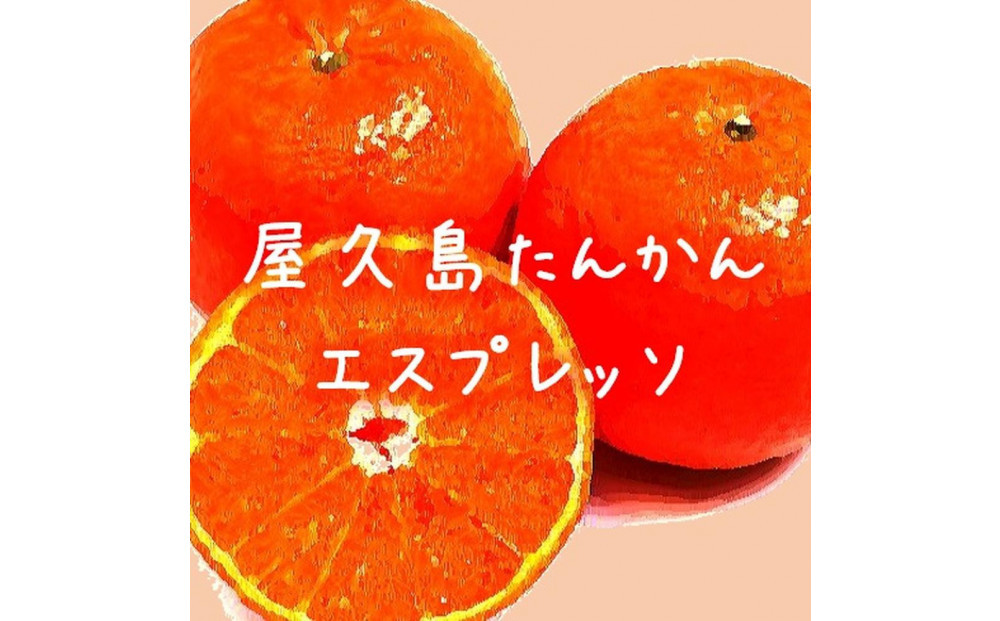 螻倶ケ蟲カ縺ョ縺溘s縺九s鬥吶k繧ィ繧ケ繝励Ξ繝繧ス繧ウ繝シ繝偵シ