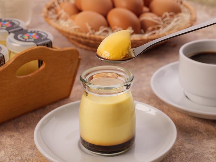 【ギフト用】【数量限定】やくしま地卵冷凍プリン 12個セット