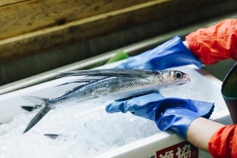 とびっきり、とび飯。【屋久島トビウオ漬け丼の素】4食セット