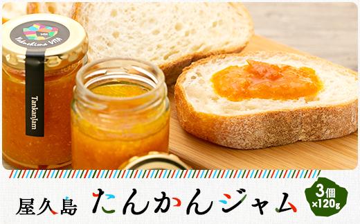 屋久島たんかんジャム３個セット