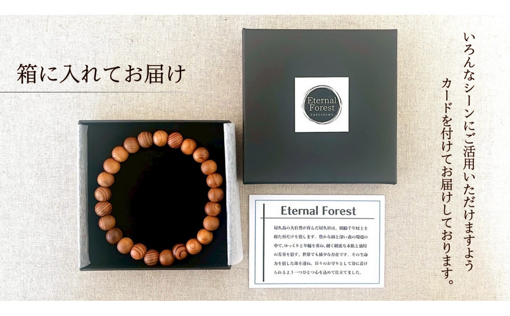 å±ä¹
æ8mmçãã¬ã¹ã¬ããã18cm (M)ã